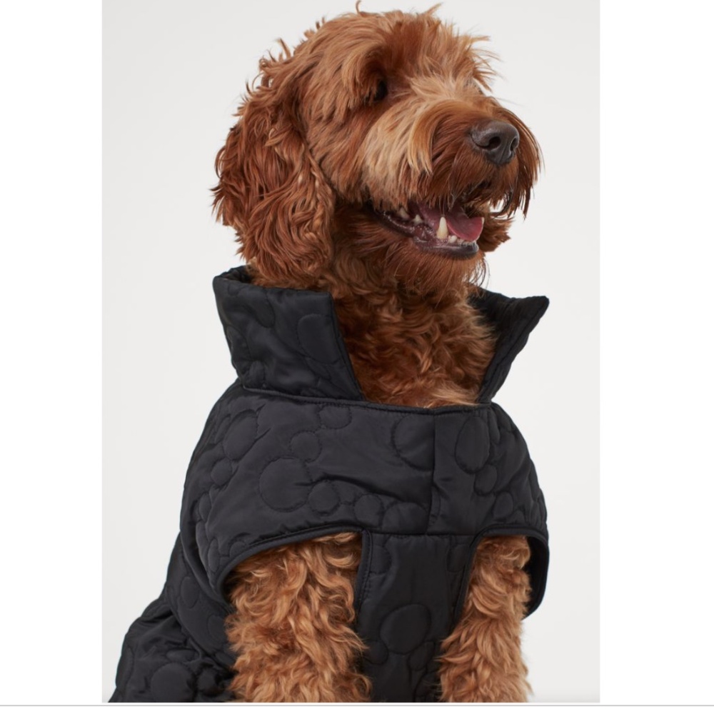 NWT 🔥HOST PICK 🔥 H&M Mickey Mouse Disney Quilted Fleece Lined Dog Jacket Vest